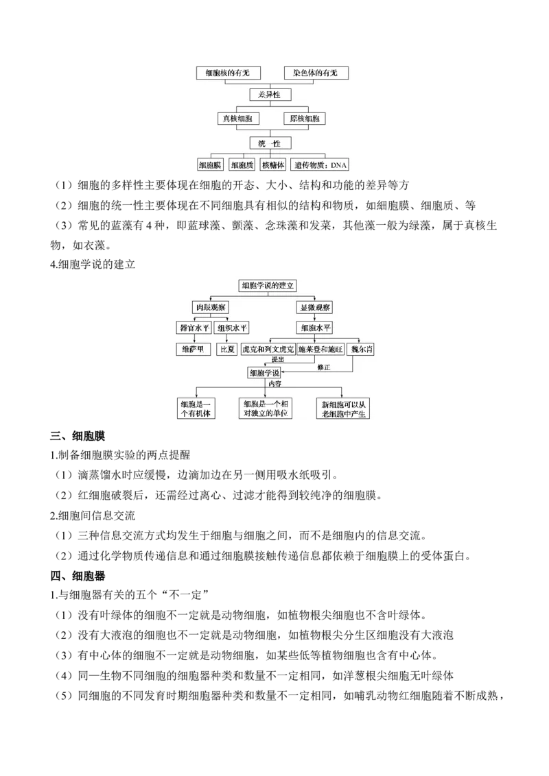 （2）细胞的结构与功能&mdash;&mdash;2025届高考生物二轮复习易错重难提升（含解析）_2025年新高考资料_二轮复习_2025届高考生物二轮复习易错重难提升（含解析）