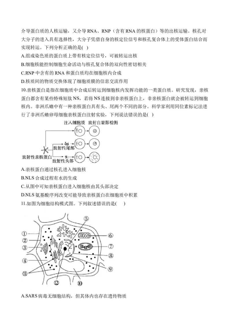 （2）细胞的结构与功能&mdash;&mdash;2025届高考生物二轮复习易错重难提升（含解析）_2025年新高考资料_二轮复习_2025届高考生物二轮复习易错重难提升（含解析）