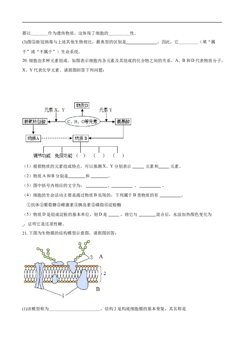 高一生物期中考试-学生用卷(1)_2025年11月高一试卷_251102湖北省黄冈市黄梅县育才高级中学2025-2026学年高一上学期10月期中（全）