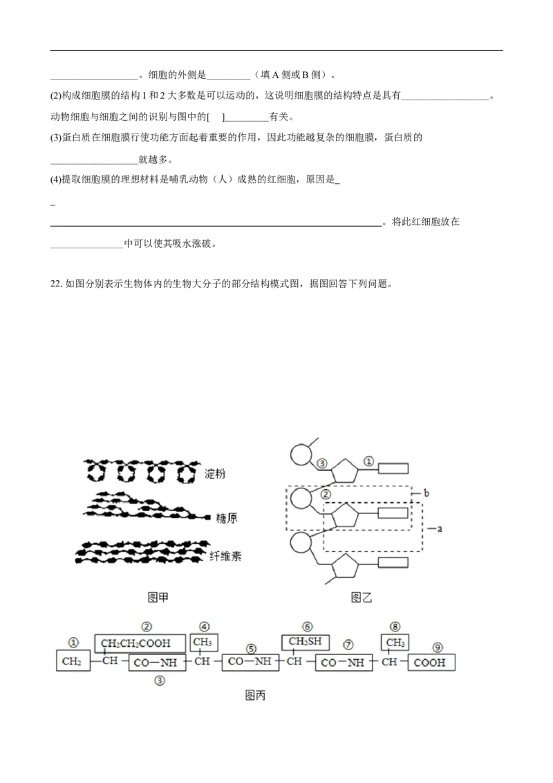 高一生物期中考试-学生用卷(1)_2025年11月高一试卷_251102湖北省黄冈市黄梅县育才高级中学2025-2026学年高一上学期10月期中（全）
