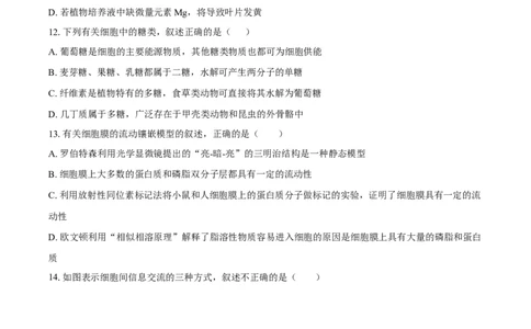 高一生物期中考试-学生用卷(1)_2025年11月高一试卷_251102湖北省黄冈市黄梅县育才高级中学2025-2026学年高一上学期10月期中（全）