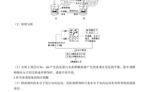 （3）细胞的物质输入和输出&mdash;&mdash;2025届高考生物二轮复习易错重难提升（含解析）_2025年新高考资料_二轮复习_2025届高考生物二轮复习易错重难提升（含解析）