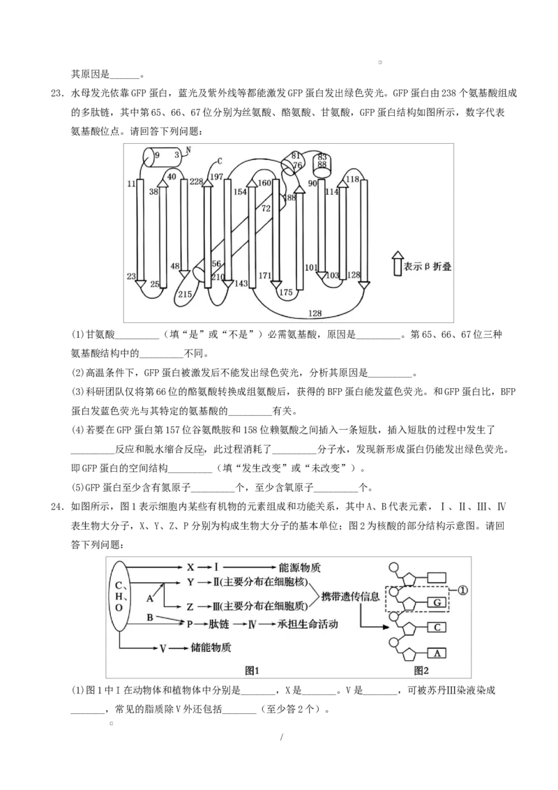高一生物上学期第一次月考（苏教版2019）测试范围：苏教版2019必修1第1章~第2章第1节（考试版）_2025年10月高一试卷_2510032025-2026学年高一生物上学期第一次月考