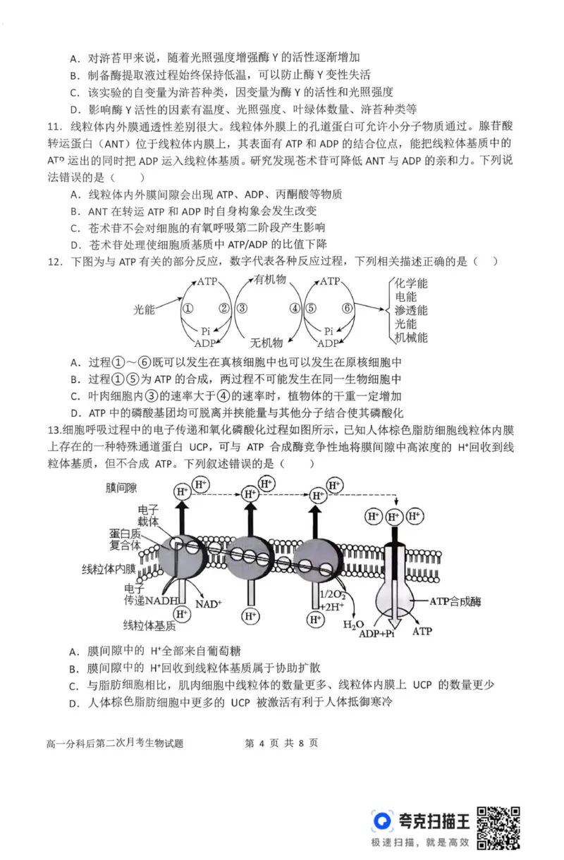 高一月考二生物试题_2026年01月高一试卷_260116河南省南阳市第一中学校2025-2026学年高一上学期分科后第二次月考