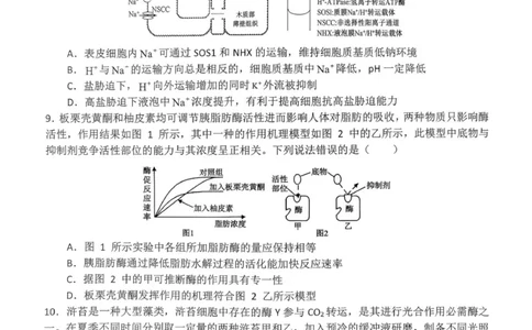 高一月考二生物试题_2026年01月高一试卷_260116河南省南阳市第一中学校2025-2026学年高一上学期分科后第二次月考