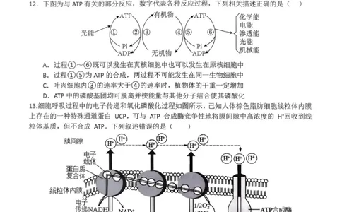 高一月考二生物试题_2026年01月高一试卷_260116河南省南阳市第一中学校2025-2026学年高一上学期分科后第二次月考