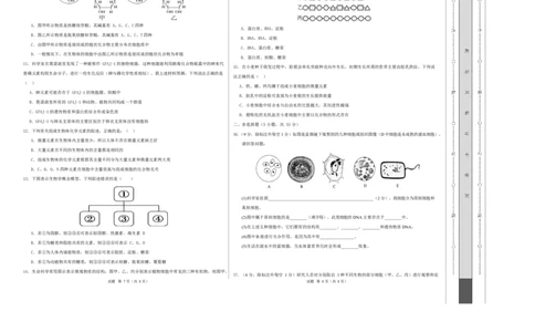 高一生物第一次月考卷单选题测试范围：人教版2019必修1前2章（考试版A3）_2025年10月高一试卷_2510032025-2026学年高一生物上学期第一次月考