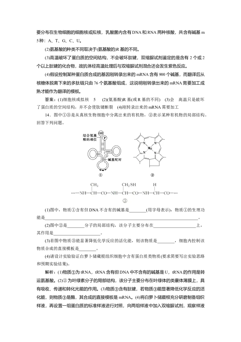 高中生物一轮复习专题训练：第3讲蛋白质和核酸(word版含解析）_新高考复习资料_2023年新高考复习资料_一轮复习_名师精选2023届新高考生物一轮复习专题训练卷(word版含解析）