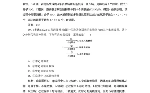 高中生物一轮复习专题训练：第3讲蛋白质和核酸(word版含解析）_新高考复习资料_2023年新高考复习资料_一轮复习_名师精选2023届新高考生物一轮复习专题训练卷(word版含解析）