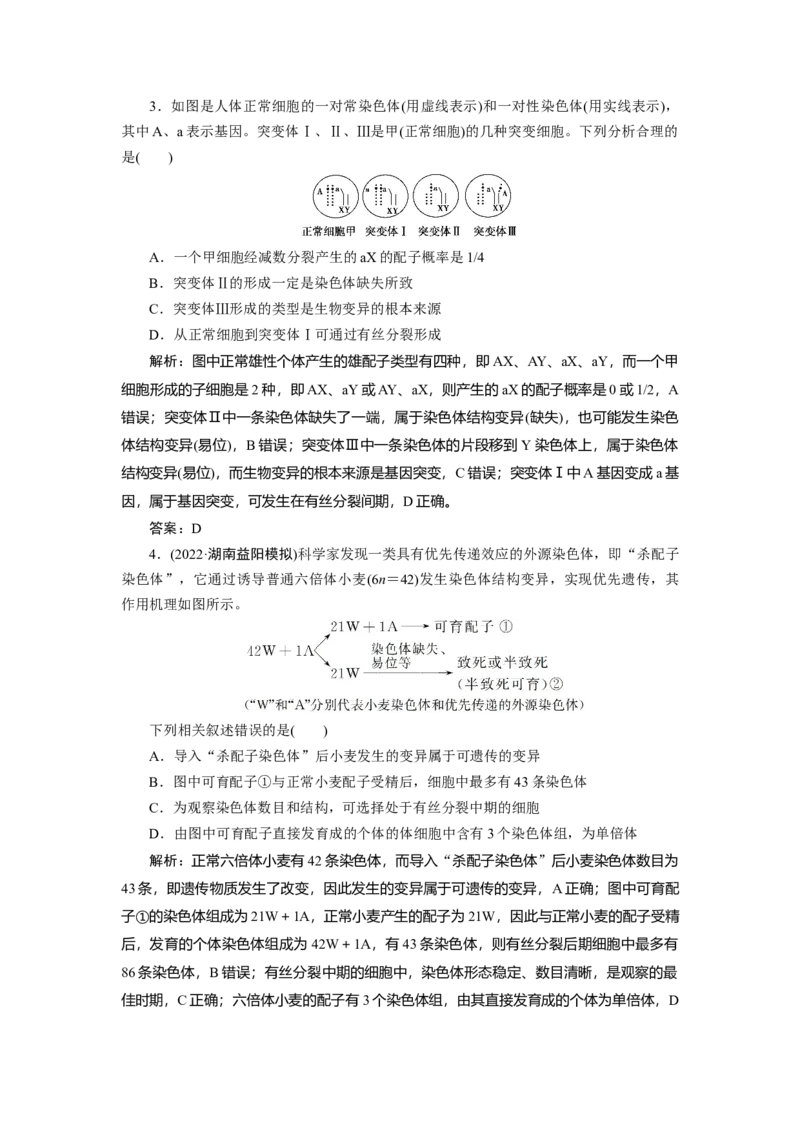 高中生物一轮复习专题训练：第21讲染色体变异（word含解析）_新高考复习资料_2023年新高考复习资料_一轮复习_名师精选2023届新高考生物一轮复习专题训练卷(word版含解析）