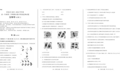 高一生物（6版）2024_2024年08月试卷_0806山西省阳泉市2023-2024学年高一下学期期末考试_山西省阳泉市2023-2024学年高一下学期期末考试生物试题