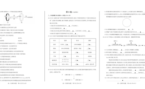 高一生物（6版）2024_2024年08月试卷_0806山西省阳泉市2023-2024学年高一下学期期末考试_山西省阳泉市2023-2024学年高一下学期期末考试生物试题