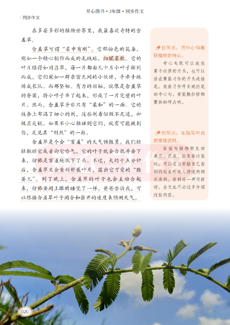 26春《开心同步作文》三下_2026春小学教辅大合集_13-26春《开心》系列_26春《开心同步作文》小学初中1-8年级下册合集
