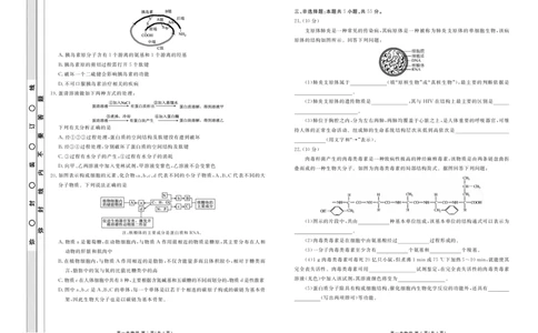 高一生物正文_2025年11月高一试卷_251104云南省楚雄彝族自治州民族中学2025-2026学年高一上学期10月月考_云南省楚雄州民族中学2025-2026学年高一上学期10月月考生物试题（扫描版，有解析）