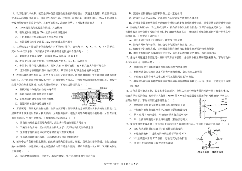 高一生物_2025年12月高一试卷_251215四川省成都市树德中学2025-2026学年高一上学期期中考试（全）