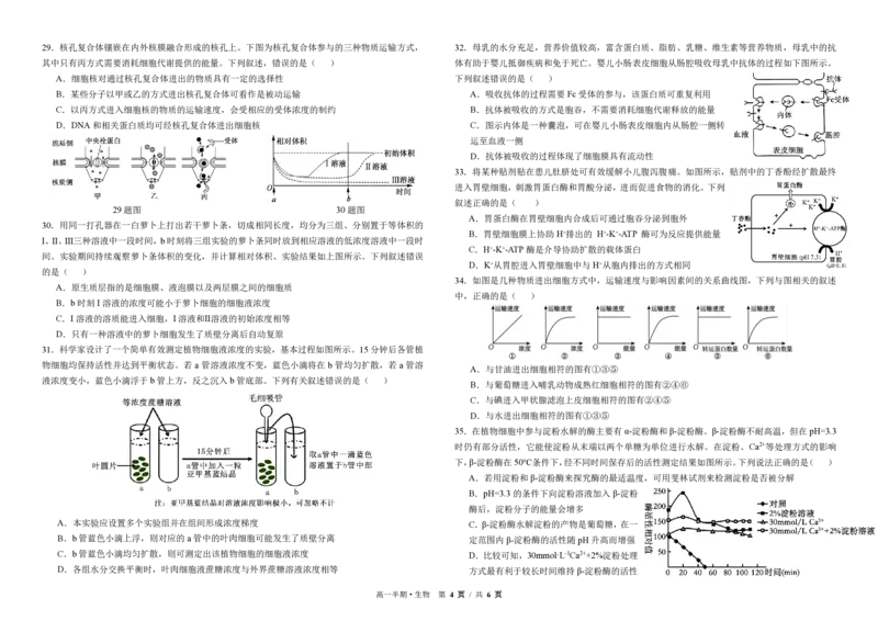 高一生物_2025年12月高一试卷_251215四川省成都市树德中学2025-2026学年高一上学期期中考试（全）