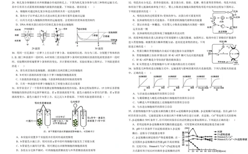 高一生物_2025年12月高一试卷_251215四川省成都市树德中学2025-2026学年高一上学期期中考试（全）