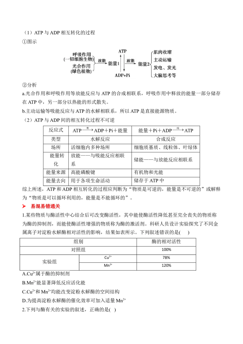 （4）酶与ATP&mdash;&mdash;2025届高考生物二轮复习易错重难提升（含解析）_2025年新高考资料_二轮复习_2025届高考生物二轮复习易错重难提升（含解析）