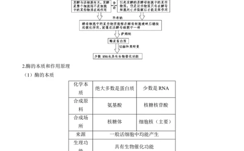 （4）酶与ATP&mdash;&mdash;2025届高考生物二轮复习易错重难提升（含解析）_2025年新高考资料_二轮复习_2025届高考生物二轮复习易错重难提升（含解析）