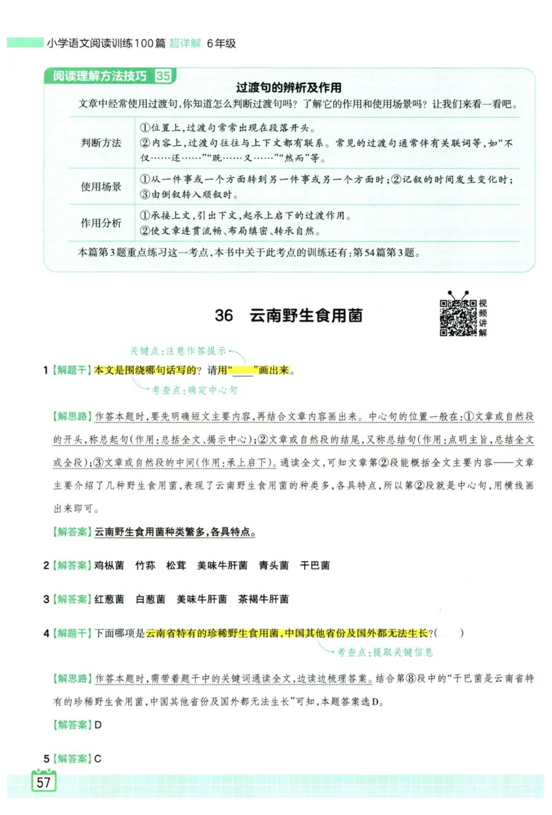 25版一本周末小测卷试卷英语5下_周末预测小卷_2026《一本&bull;周末小测卷》英语人教_赠送：25春英语人教pep《周末小测卷》_五年级英语下册人教PEP版25春《周末小测卷》
