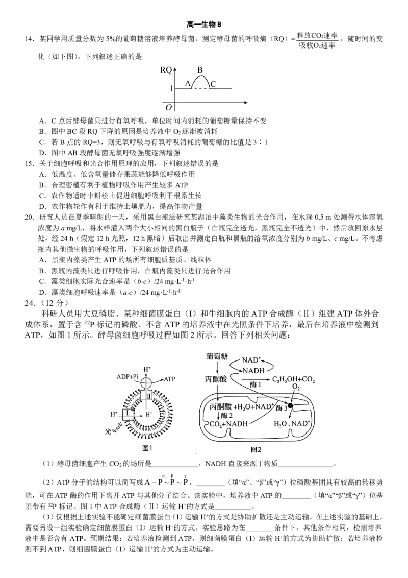 高一期末生物B版_2026年02月高一试卷_260203辽宁省点石联考2028届高一期末质量监测（全）