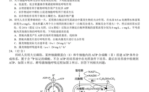 高一期末生物B版_2026年02月高一试卷_260203辽宁省点石联考2028届高一期末质量监测（全）