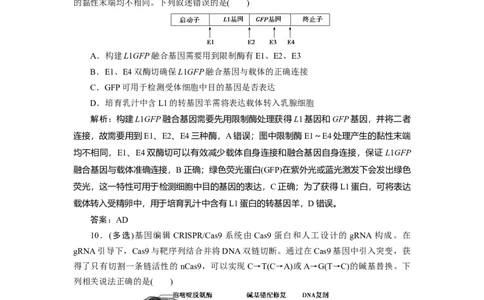 高中生物一轮复习专题训练：第37讲基因工程（word含解析）_新高考复习资料_2023年新高考复习资料_一轮复习_名师精选2023届新高考生物一轮复习专题训练卷(word版含解析）