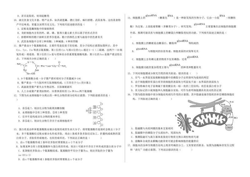 高一年级10月份月考生物试题_2025年10月高一试卷_251028山东省德州市夏津第一中学2025-2026学年高一上学期10月月考（全）