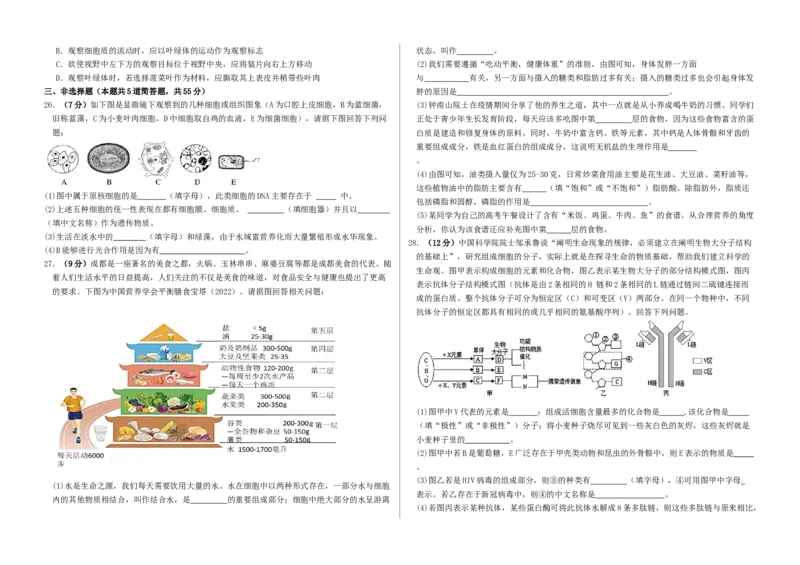 高一年级10月份月考生物试题_2025年10月高一试卷_251028山东省德州市夏津第一中学2025-2026学年高一上学期10月月考（全）