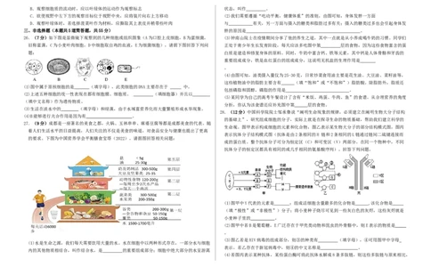 高一年级10月份月考生物试题_2025年10月高一试卷_251028山东省德州市夏津第一中学2025-2026学年高一上学期10月月考（全）
