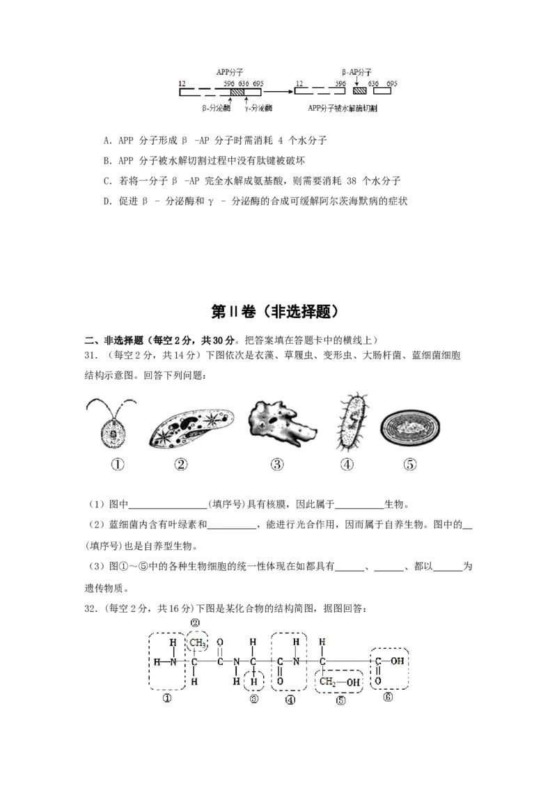 高一生物月考1试题_2025年10月高一试卷_251021河南省实验中学2025-2026学年高一上学期第一次月考_河南省实验中学2025-2026学年高一上学期第一次月考生物试卷（有答案）