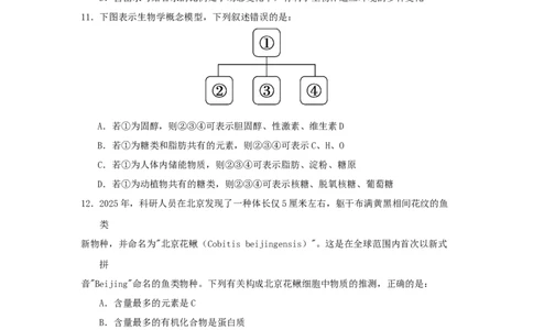 高一生物月考1试题_2025年10月高一试卷_251021河南省实验中学2025-2026学年高一上学期第一次月考_河南省实验中学2025-2026学年高一上学期第一次月考生物试卷（有答案）