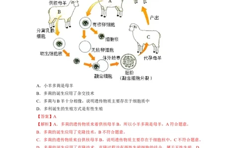 重难点10生物技术-2023年中考生物热点&middot;重点&middot;难点专练（全国通用）（解析版）_6生物中考复习_2023年中考复习资料_专项复习_2023年中考生物热点&middot;重点&middot;难点专练（全国通用）