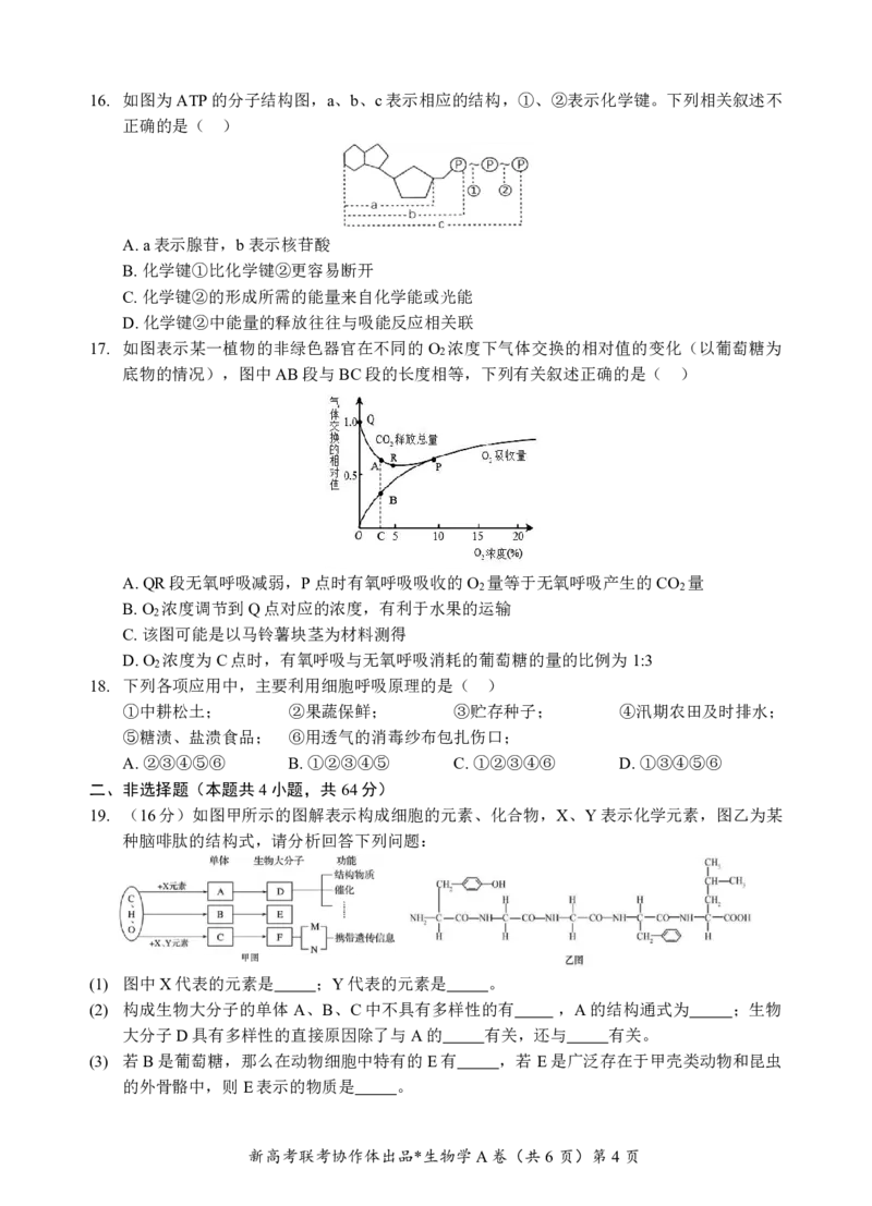高一生物A卷试题_2024年12月试卷_1225湖北省新高考联考协作体2024-2025学年高一上学期12月联考_湖北省新高考联考协作体2024-2025学年高一上学期12月联考生物试卷含答案