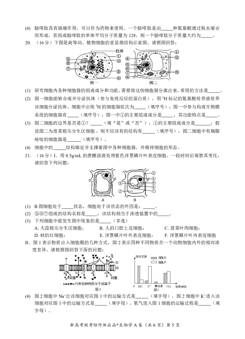 高一生物A卷试题_2024年12月试卷_1225湖北省新高考联考协作体2024-2025学年高一上学期12月联考_湖北省新高考联考协作体2024-2025学年高一上学期12月联考生物试卷含答案