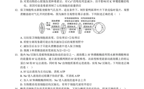 高一生物A卷试题_2024年12月试卷_1225湖北省新高考联考协作体2024-2025学年高一上学期12月联考_湖北省新高考联考协作体2024-2025学年高一上学期12月联考生物试卷含答案