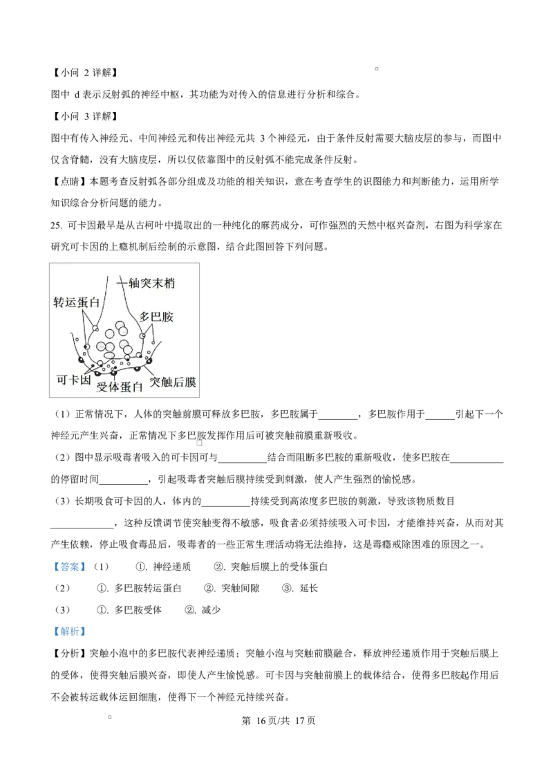 黑龙江省哈尔滨市第三十二中学2025-2026学年高二上学期11月期中生物试题Word版含解析_2025年12月高一试卷_251202黑龙江省哈尔滨市第三十二中学校2025-2026学年高一上学期期中考试（全）