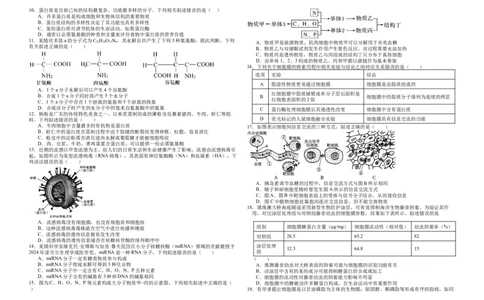 黑龙江省大庆市大庆中学2025-2026学年高一上学期11月期中生物试题_2025年12月高一试卷_251210黑龙江省大庆市大庆中学2025-2026学年高一上学期11月期中考试（全）
