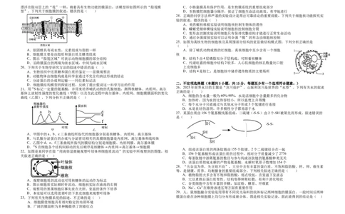 黑龙江省大庆市大庆中学2025-2026学年高一上学期11月期中生物试题_2025年12月高一试卷_251210黑龙江省大庆市大庆中学2025-2026学年高一上学期11月期中考试（全）