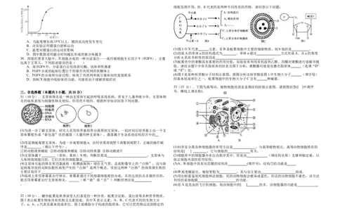 黑龙江省大庆市大庆中学2025-2026学年高一上学期11月期中生物试题_2025年12月高一试卷_251210黑龙江省大庆市大庆中学2025-2026学年高一上学期11月期中考试（全）