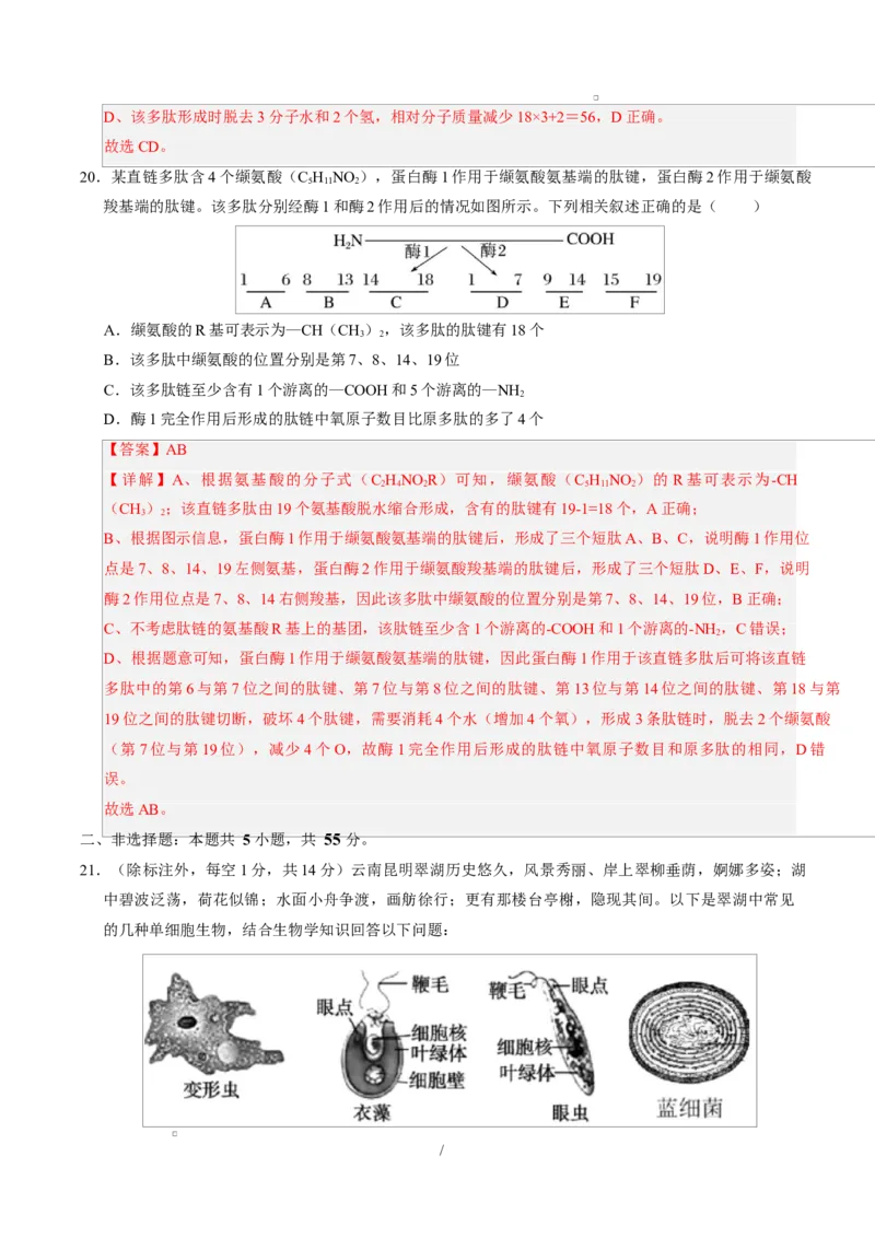 高一生物上学期第一次月考02（全解全析）（人教版2019）_2025年10月高一试卷_2510032025-2026学年高一生物上学期第一次月考