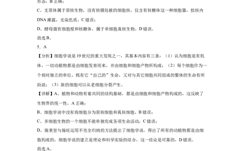 高一生物试卷答案_2025年10月高一试卷_251010湖北省咸宁市华师元一赤壁学校2025-2026学年高一上学期9月月考