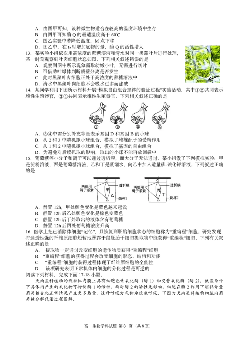 高一生物试题_2026年03月高一试卷_260329浙江四校(含精诚联盟)2025-2026学年高一下学期3月阶段检测（全科）