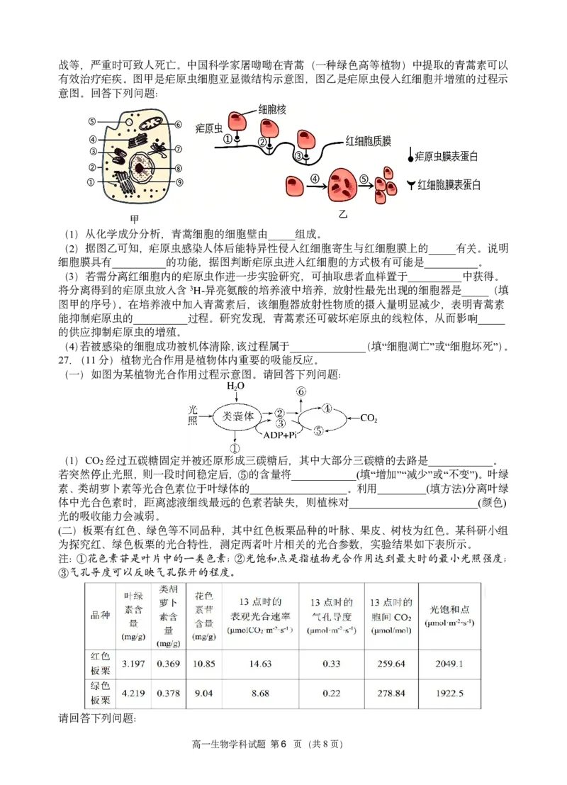 高一生物试题_2026年03月高一试卷_260329浙江四校(含精诚联盟)2025-2026学年高一下学期3月阶段检测（全科）