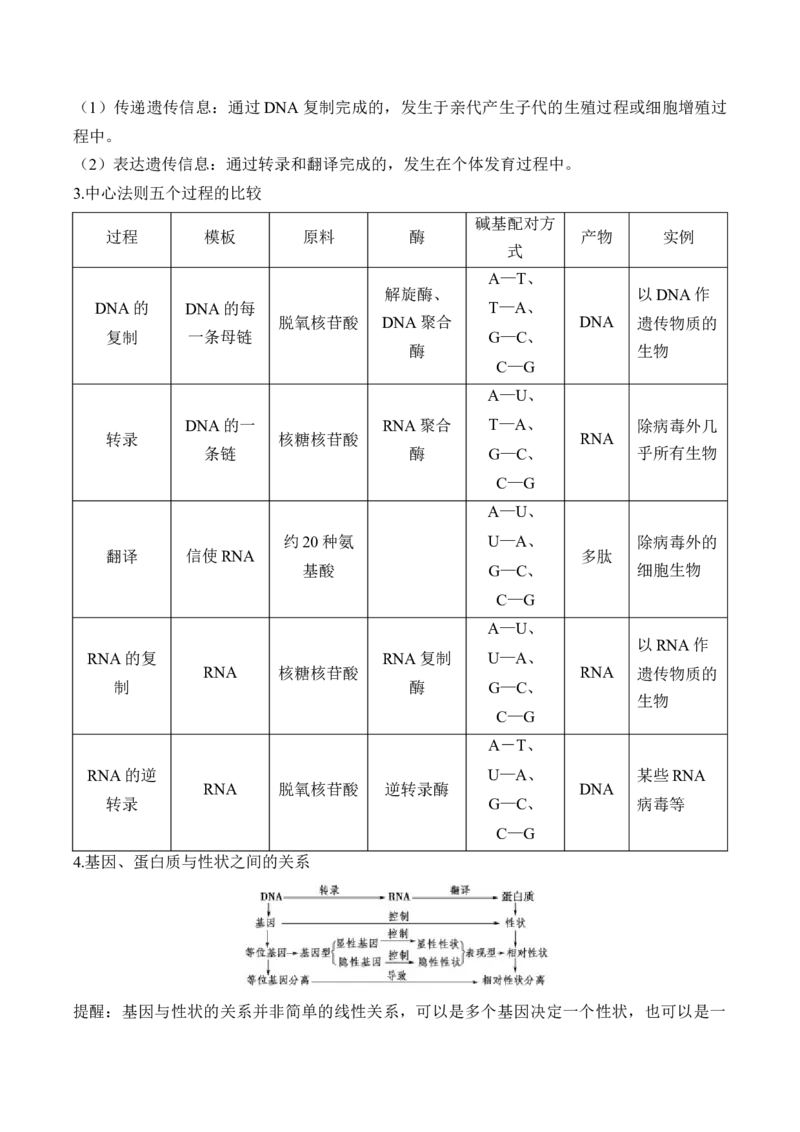 （9）遗传的分子基础&mdash;&mdash;2025届高考生物二轮复习易错重难提升（含解析）_2025年新高考资料_二轮复习_2025届高考生物二轮复习易错重难提升（含解析）