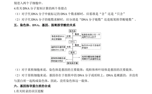 （9）遗传的分子基础&mdash;&mdash;2025届高考生物二轮复习易错重难提升（含解析）_2025年新高考资料_二轮复习_2025届高考生物二轮复习易错重难提升（含解析）