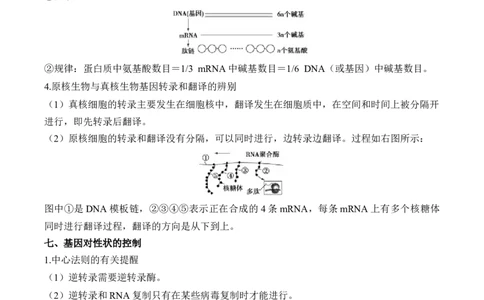 （9）遗传的分子基础&mdash;&mdash;2025届高考生物二轮复习易错重难提升（含解析）_2025年新高考资料_二轮复习_2025届高考生物二轮复习易错重难提升（含解析）