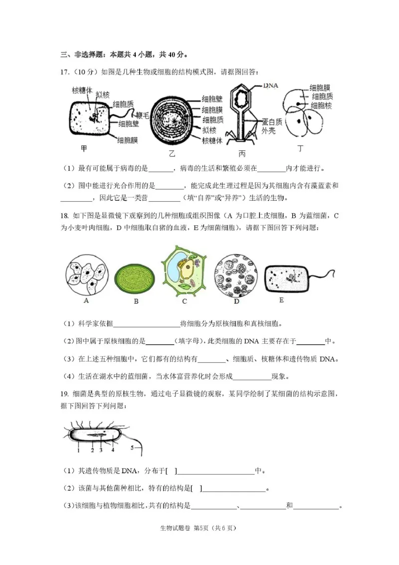 高一生物第一次月考_2025年10月高一试卷_251003湖南省株洲世纪星高级中学2025-2026学年高一上学期第一次月考