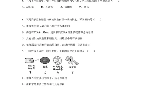 高一生物第一次月考_2025年10月高一试卷_251003湖南省株洲世纪星高级中学2025-2026学年高一上学期第一次月考
