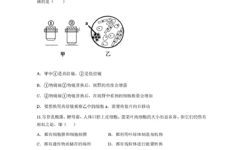 高一生物第一次月考_2025年10月高一试卷_251003湖南省株洲世纪星高级中学2025-2026学年高一上学期第一次月考
